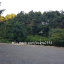 팔공산 세탁 이미지