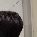 큐헤어 네이버블로그