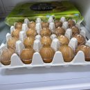 공헌농장 | 양계장청년 건강한 계란, 난각1번 유정란 구매 후기