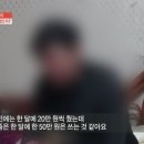 현대목장 이미지