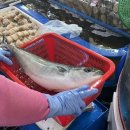 보성회센터 이미지