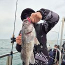 씨엔텔 민박 이미지