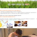 오키나와 온열센타 Daum카페