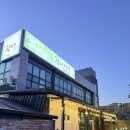 원주진장어 | 원주 ‘자작나무장어구이’ 내돈내산 솔직후기