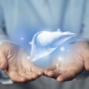 지방간의 진단과 관리 이미지