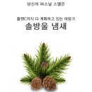 다래분식 - 마포구 마포대로 63-8 | 다래분식