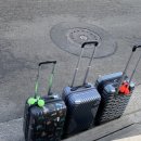 삼진탕 | 제주 여행기