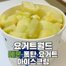 홍대 디저트카페 요거트월드 홍대점 방문 후기