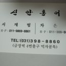 신안홍어 이미지