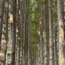 아가페모텔 이미지