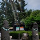 도윤이네 행복한 농장 | 제주 휴애리자연생활공원 흑돼지공연과 수국수국한 수국꽃이 가득해