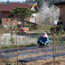 펜션이야기 이미지