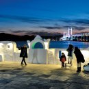 달맞이밤 이미지