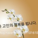 배방읍 곡교천로 이미지