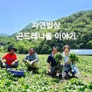 경주 불국사 부모님 식사 추천, 자연밥상 불국사