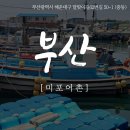 미포해양개발 앞 | [어촌여행기] 도심 속 작은어촌, 부산 미포어촌