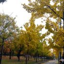 약령공원(시장) 이미지