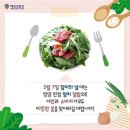월참치 이미지