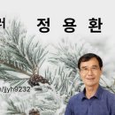 소나무를 품다 이미지