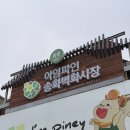 송화비타민과일