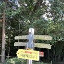 망 미 정 이미지