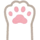 (주)뉴스와 정보