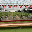 드림1농장 이미지