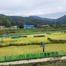 역천파크골프장 이미지