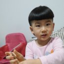 나스티스 네이버블로그