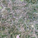 단성면 복지회관 이미지