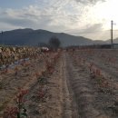 성장농원 이미지