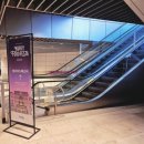 컬리푸드페스타 2024 후기 [+ 오후 시간]