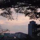 동녁공원 네이버블로그
