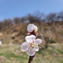 예담원 - 강진군 보은로안길 20 | 예담원