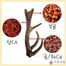 아산튼튼한의원 이미지