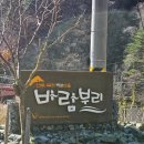 강릉 대관령 애견동반 가능한 바람부리별밤캠핑장 후기