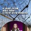 [국가보훈처] 이 영상은 미 참전용사 손녀가 부른 "전선의 달밤"외 2곡 애국영상입니다. 이미지