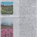 동행기획 이미지