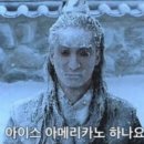 액틴 이미지