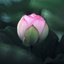 함*재