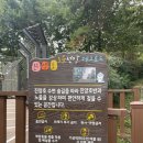 일출물빛 | [진주 진양호 산책길 추천] 노을전망 데크로드 &amp; 양마산 둘레길(물빛길)산책 후기