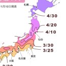 주식회사 벚꽃