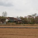 솔숲갈래길 이미지