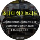 로이덴트 이미지