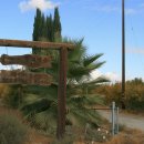 영성농장 이미지