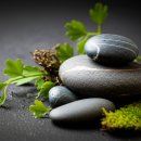 스토너리(STONERY) 이미지