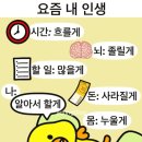 제일뽑기샵 | 인형뽑기 찐 중독은 접니다 (feat. 노원/미아사거리 후기)