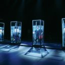 코끼리들이 웃는다 이미지