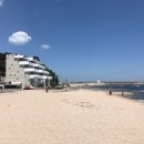 소노하임 이미지