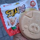 아이스크림점빵